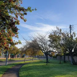 Dunboyne Community Centre - Dunboyne