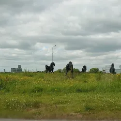 Dunboyne Village - Dunboyne