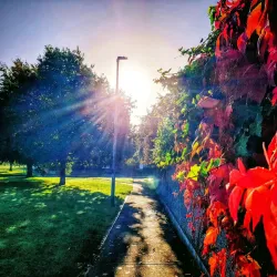 Dunboyne Village - Dunboyne