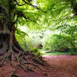 Moyvalley Nature Trails - Dunboyne