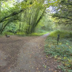 Moyvalley Nature Trails - Dunboyne