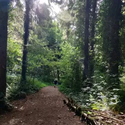 Moyvalley Nature Trails - Dunboyne
