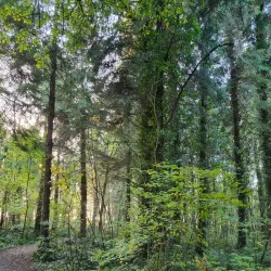 Moyvalley Nature Trails - Dunboyne
