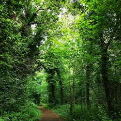 Moyvalley Nature Trails - Dunboyne