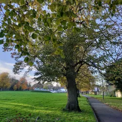 Ratoath Park - Dunboyne