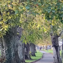 Ratoath Park - Dunboyne