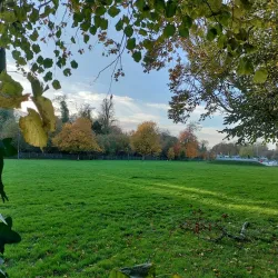 Ratoath Park - Dunboyne