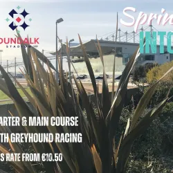 Dundalk Stadium - Dundalk