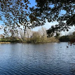 Dundalk Town Park - Dundalk