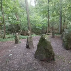 Ravensdale Forest Walks - Dundalk