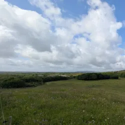Burren National Park - Ennis
