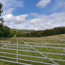 Burren National Park - Ennis