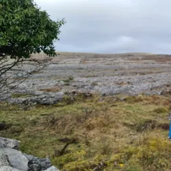 Burren National Park - Ennis