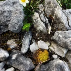 Burren National Park - Ennis