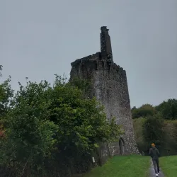 Dromore Wood Nature Reserve - Ennis