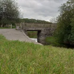 Dromore Wood Nature Reserve - Ennis