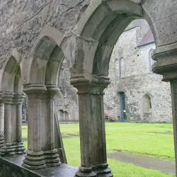 Ennis Friary - Ennis