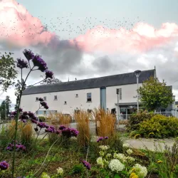 Enniscorthy Arts Centre - Enniscorthy