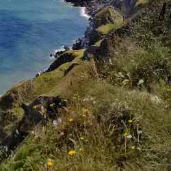 Bray Head Walk - Greystones
