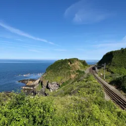 Bray Head Walk - Greystones