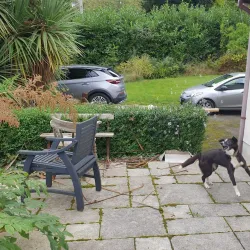 Delgany Village - Greystones