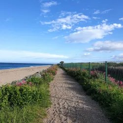 Greystones Beach - Greystones