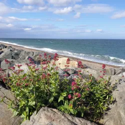 Greystones Beach - Greystones