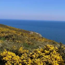 Greystones Golf Club - Greystones