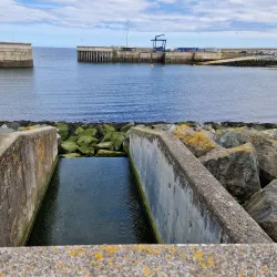Greystones Harbour - Greystones