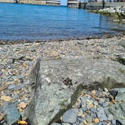 Greystones Harbour - Greystones