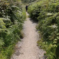 The Cliff Walk - Greystones