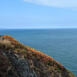 The Cliff Walk - Greystones