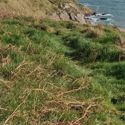 Baily Lighthouse - Howth