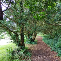 Howth Castle and Grounds - Howth