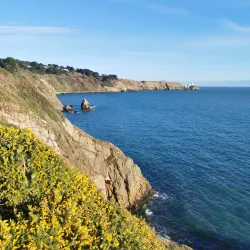 Howth Cliff Walk - Howth