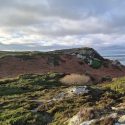 Howth Cliff Walk - Howth
