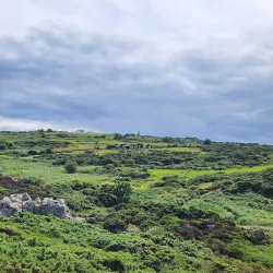 Howth Cliff Walk - Howth