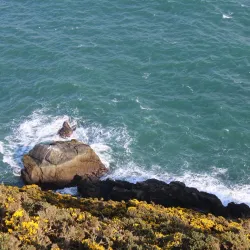 Howth Cliff Walk - Howth