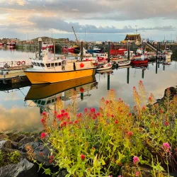 Howth Harbour - Howth