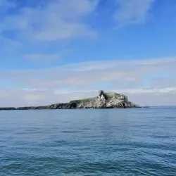 Howth Harbour - Howth