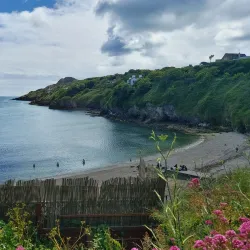 Howth Harbour - Howth