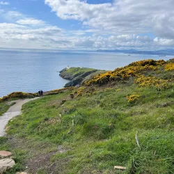 Howth Summit - Howth