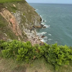 Howth Summit - Howth