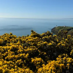 Howth Summit - Howth
