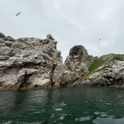 Ireland's Eye - Howth