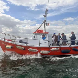 Ireland's Eye - Howth