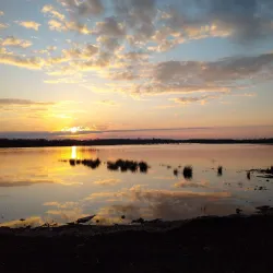 Corlea Trackway Visitor Centre - Keenagh