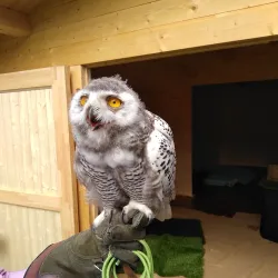 Longford County Museum - Keenagh