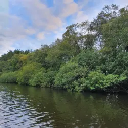 Lough Gowna Golf Club - Keenagh