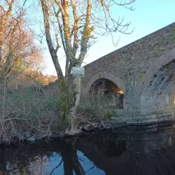 Lough Gowna Walking Trails - Keenagh